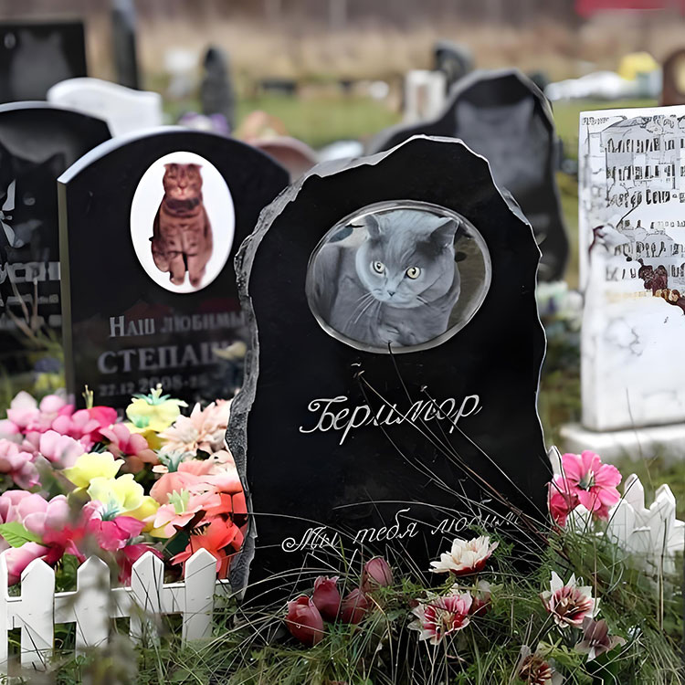 Реттеудің қандай нұсқалары негізгі атаулардан тыс үй жануарлары мемориалдық тақта бастайды?